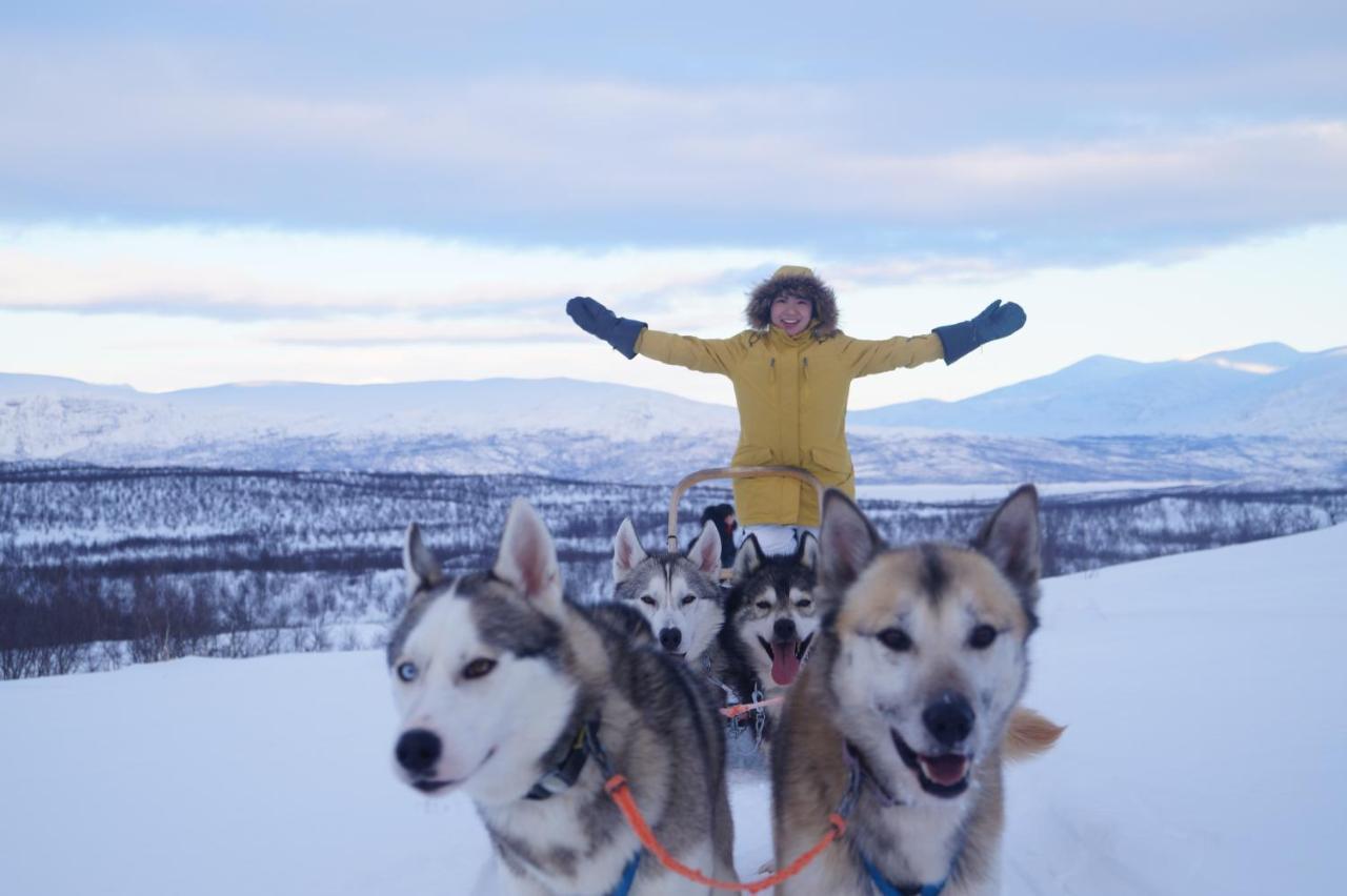 Abisko Net Hostel & Huskies Dış mekan fotoğraf
